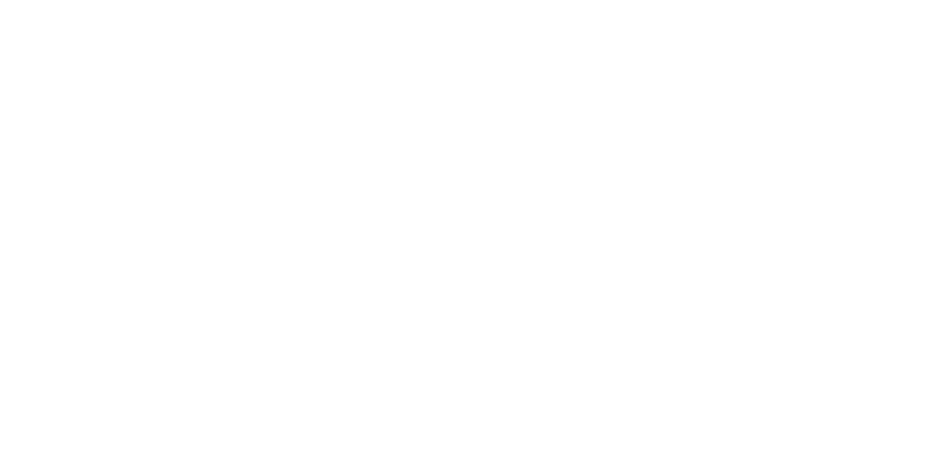Projet Laramie